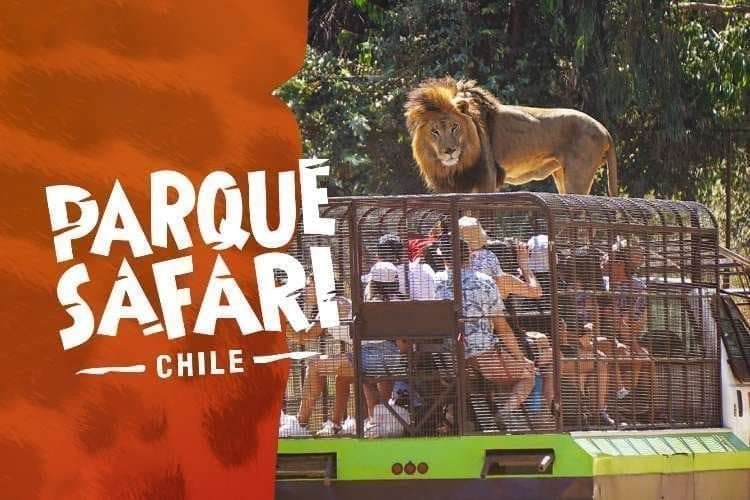 Parque Safari